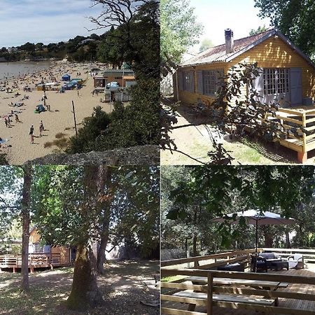 Villa La Palombière Meschers-sur-Gironde Esterno foto