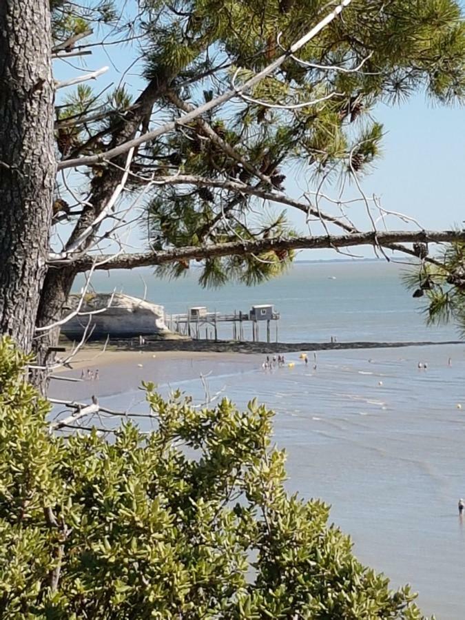 Villa La Palombière Meschers-sur-Gironde Esterno foto