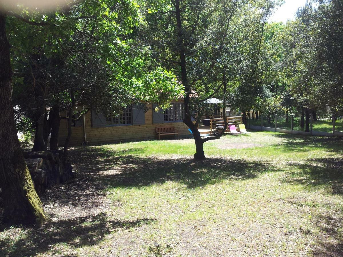 Villa La Palombière Meschers-sur-Gironde Esterno foto